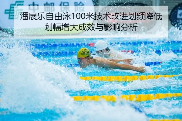 pan-zhan-le-zi-you-yong-mi-ji-shu-gai-jin-hua-pin-jiang-di-hua-fu-zeng-da-cheng-xiao-yu-ying-xiang-fen-xi-2-856.jpg